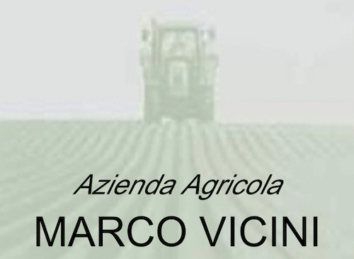aamv logo