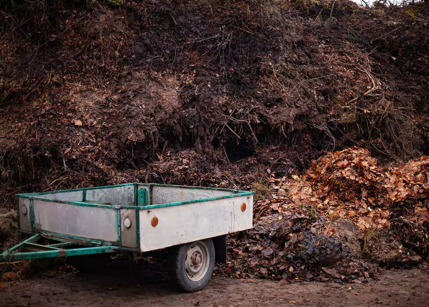 Il nostro compost organico è in vendita sia in sacchi che sfuso