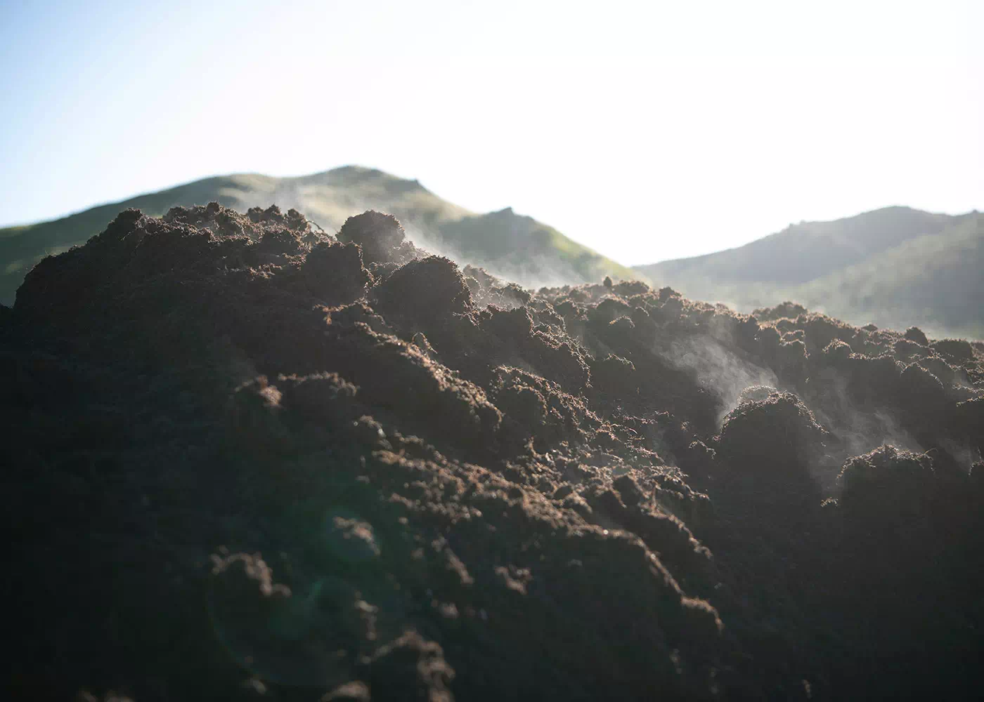 Lavorazione del compost organico vegetale maturo